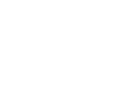 Gasoline Generator