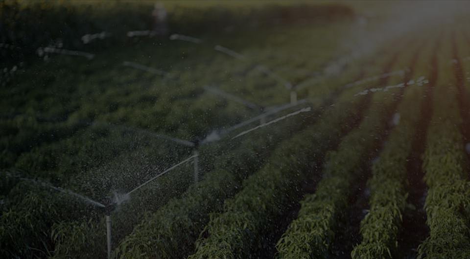 What should I pay attention to when purchasing a sprayer water pump?