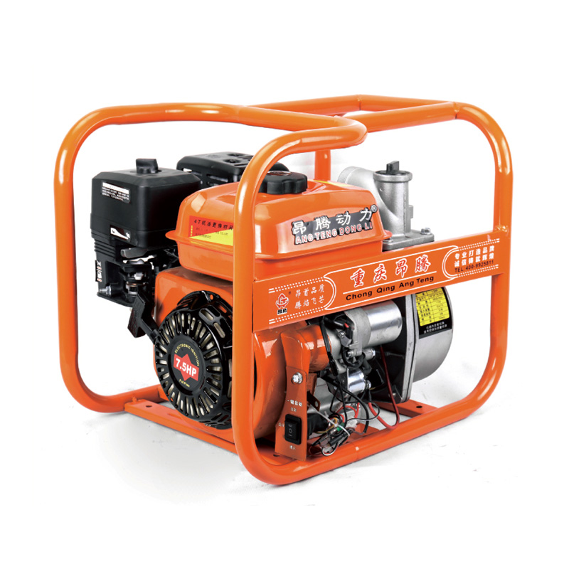 Agricultural Gasoline Water Pump with 170F Engine