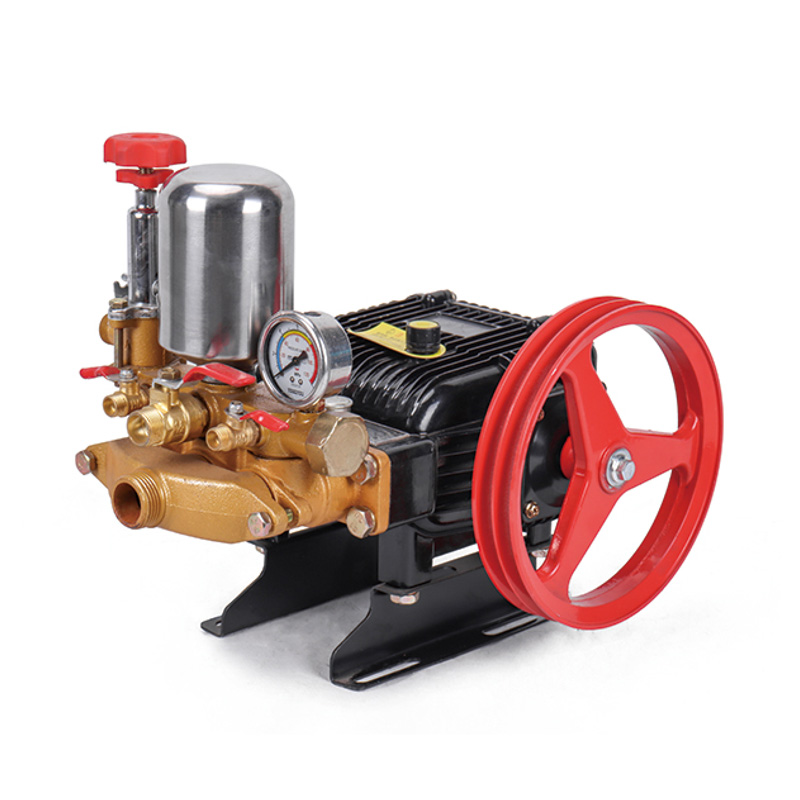 Portable Agriculture Gasoline Power Sprayer Pump
