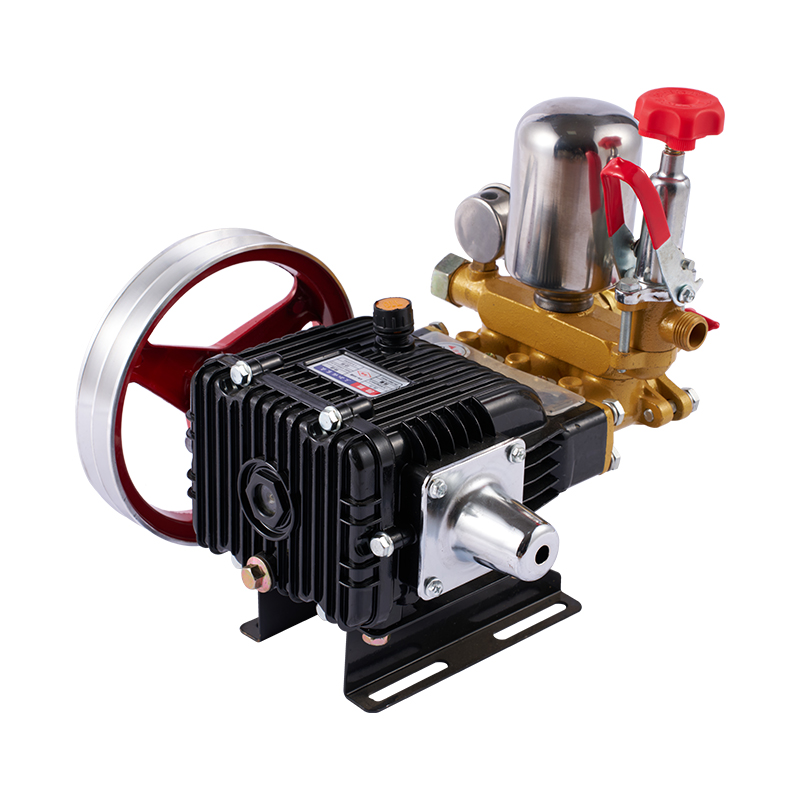 Portable 4 Stroke Gasoline Engine Sprayer Pump