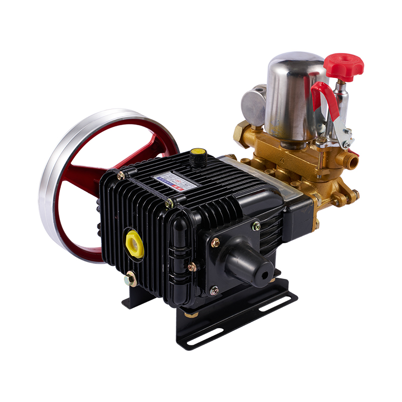 Portable 4 Stroke Gasoline Engine Sprayer Pump