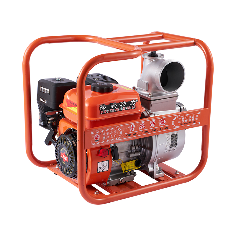 Agricultural Gasoline Water Pump with 170F Engine