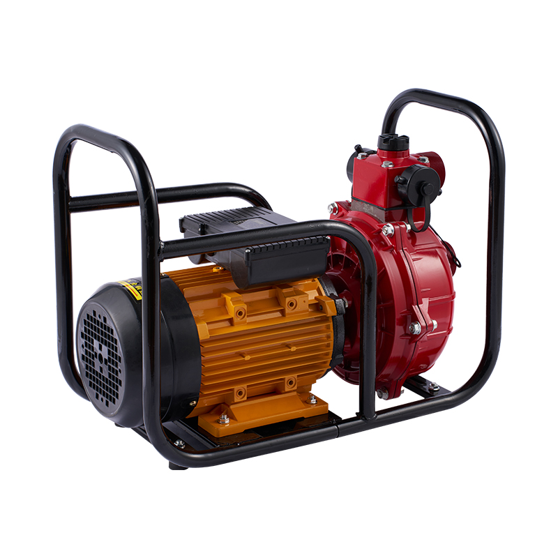 Large Flow Double Impeller Electric Water Pump For Irrigation