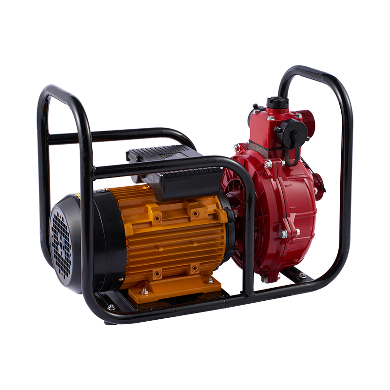 Large Flow Double Impeller Electric Water Pump For Irrigation