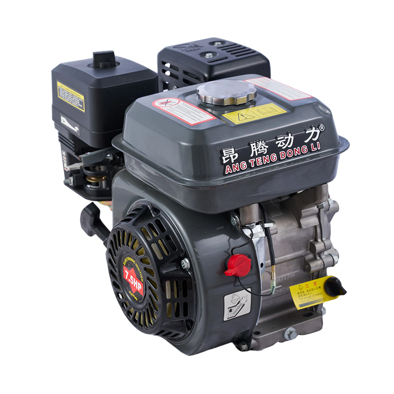 Half Speed Reduction 170F Gasoline/Petrol Engine