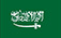 https://sa.cnangteng.com